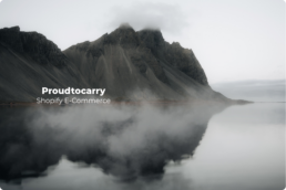 Portfolio Proudtocarry - E-Commerce mit Shopify